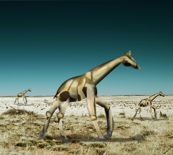 Creation of Meanwhile in the Desert: Step 8